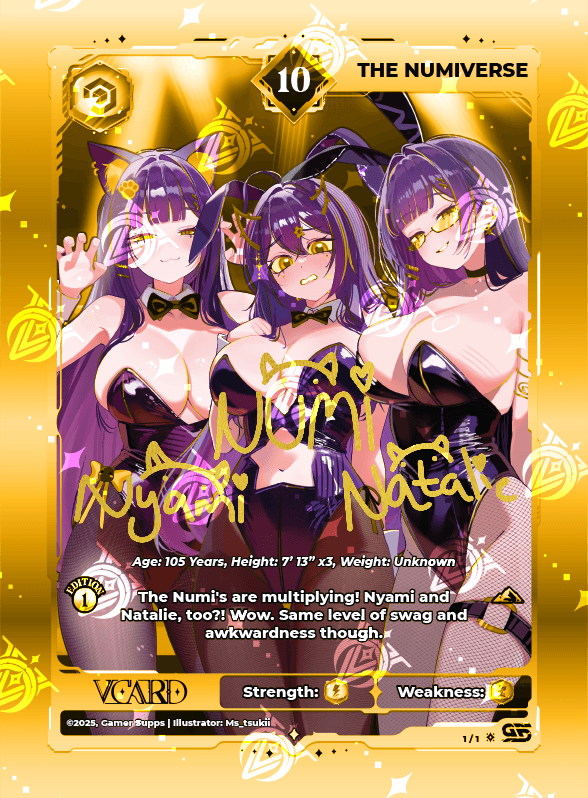 The Numiverse